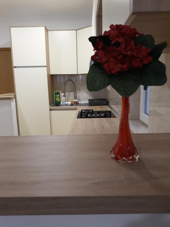Apartmani I Soba Andrijasevic マカルスカ エクステリア 写真