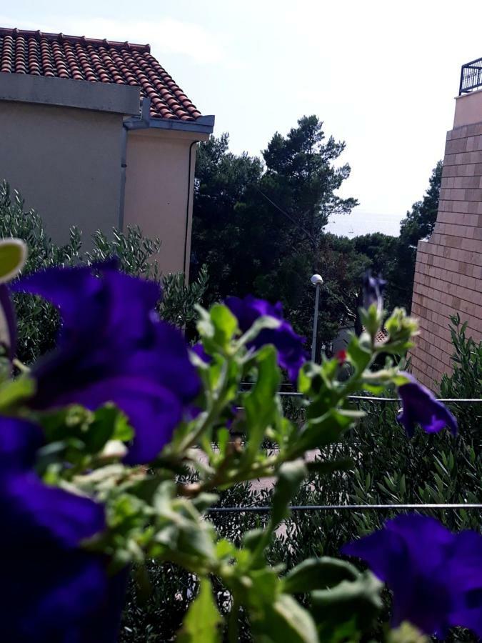 Apartmani I Soba Andrijasevic マカルスカ エクステリア 写真
